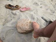 Beachfoot
