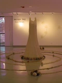 The Mother Tree, installation by Helen Hiebert.