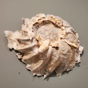 handmade flax paper