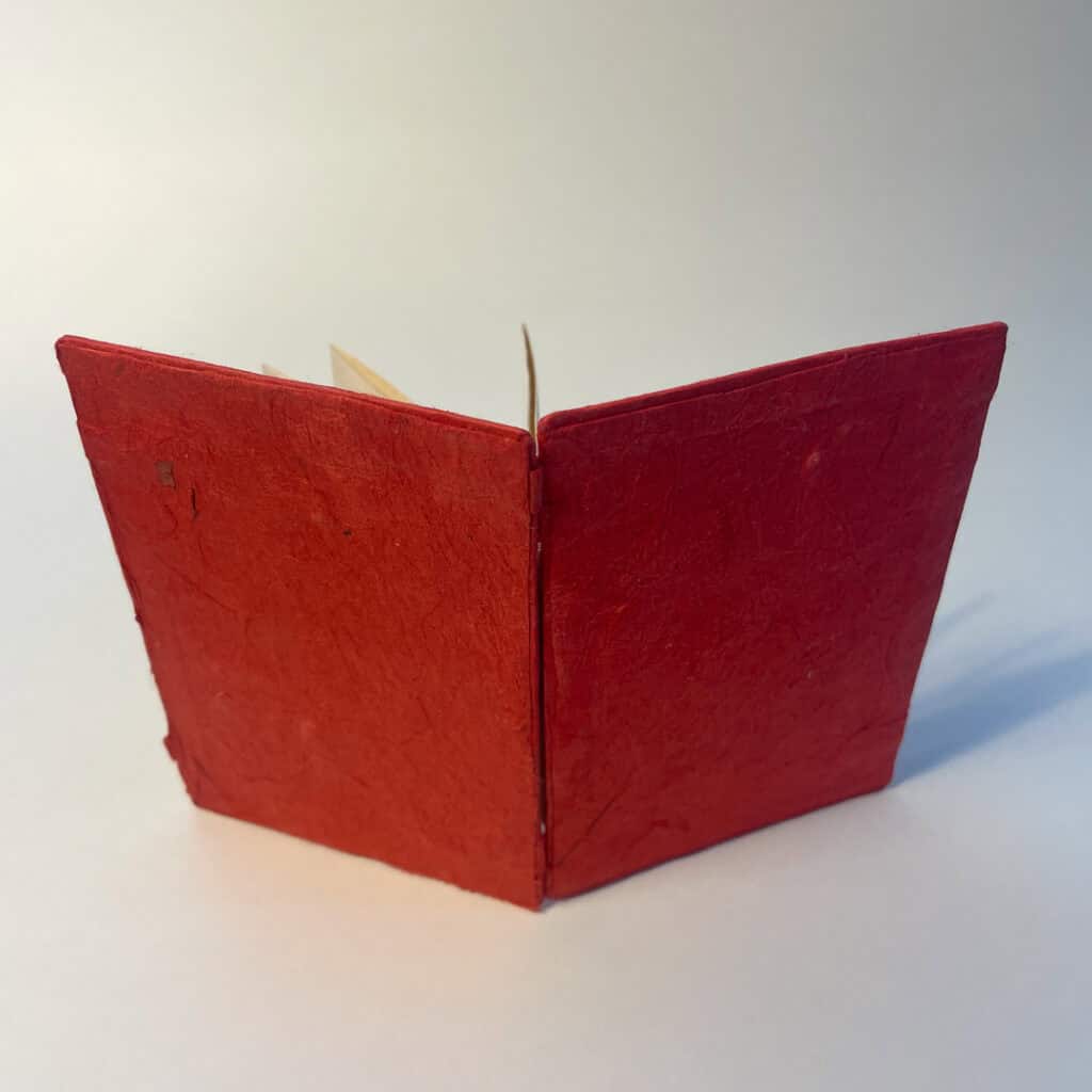 20250813 IMG 9483 1080px