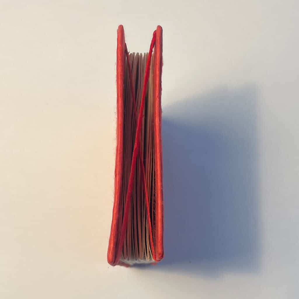 20250813 IMG 9490 1080px