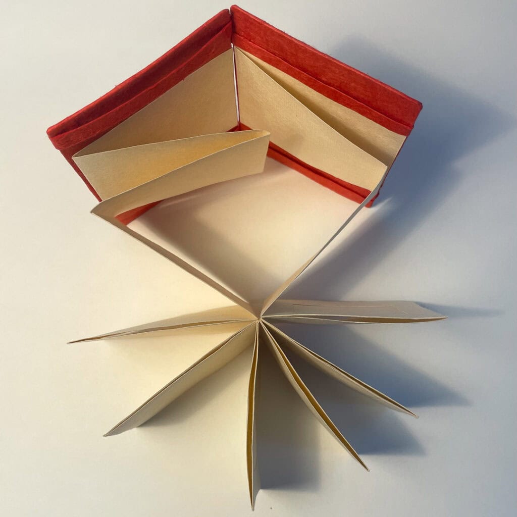 20250813 IMG 9491 1080px