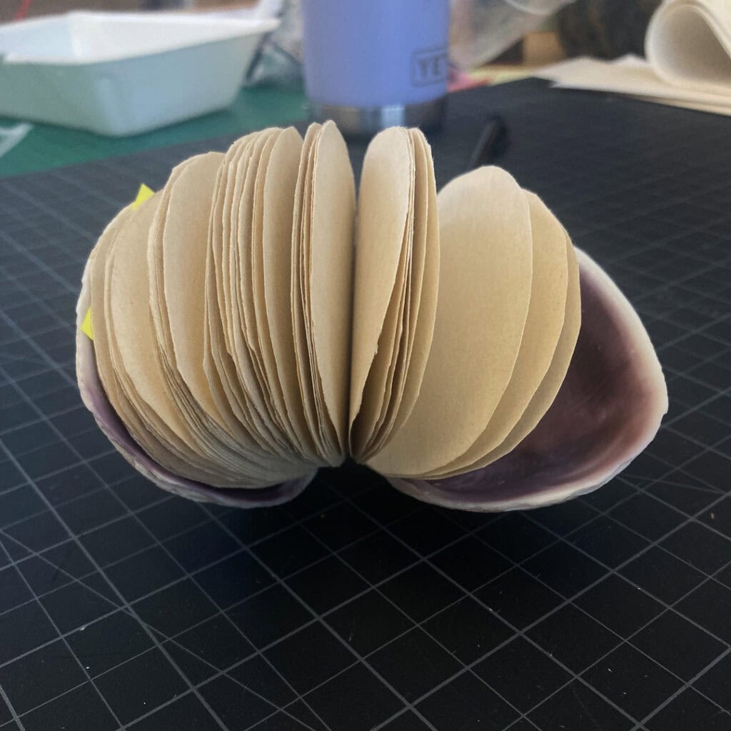 20250814 IMG 3912 1080px