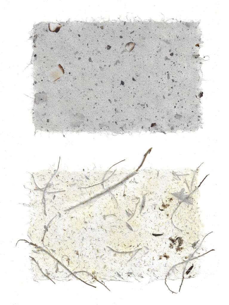 Feb 2026 Papermaking